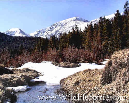 Click Picture to send as an  E-PostCard 29k 500x400
